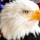 4th July Eagle